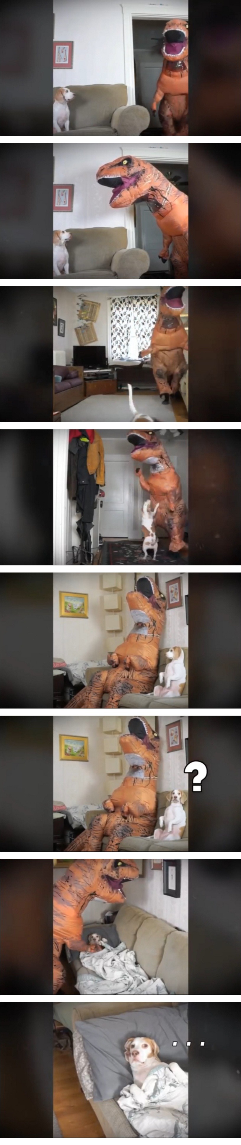 공룡으로 분장한 주인을 본 강아지 | 인스티즈