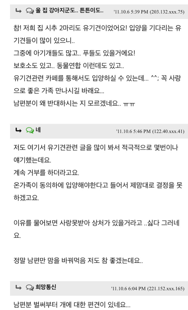 유기견 입양 권유 오지랖이다vs그럴 수 있다 | 인스티즈