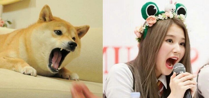 트와이스 사나 | 인스티즈