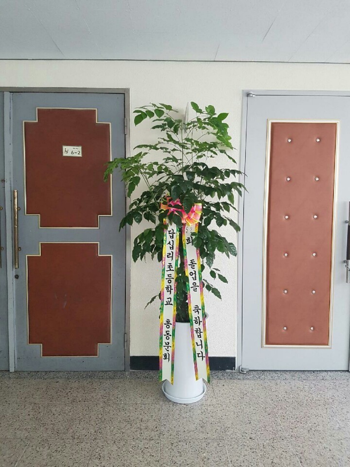 영신화원 이미지