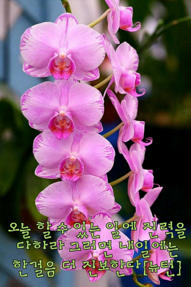 [이미지] 부모님께 보내드리면 사랑받는 이미지 모음 | 인스티즈