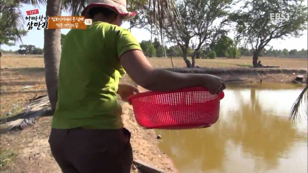 동남아가서 길거리음식 함부로 먹으면 안되는 이유.jpg | 인스티즈