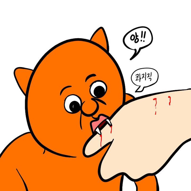 살면서 한 번도 싸우지 않은 노부부 (이주용) | 인스티즈