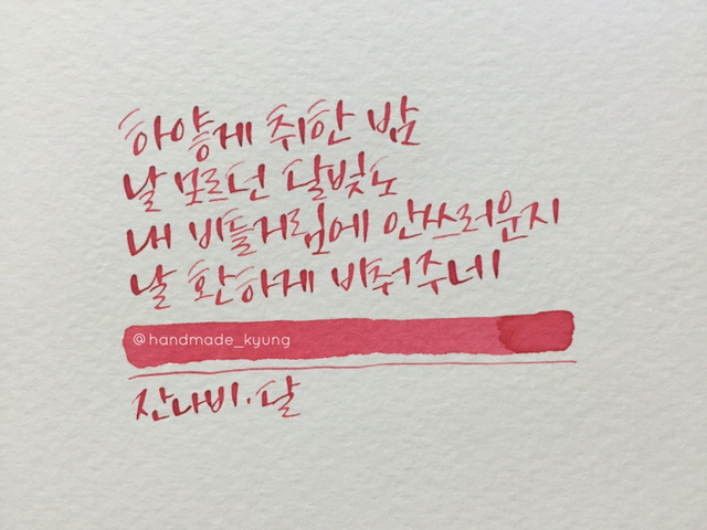 스테노커피 이미지