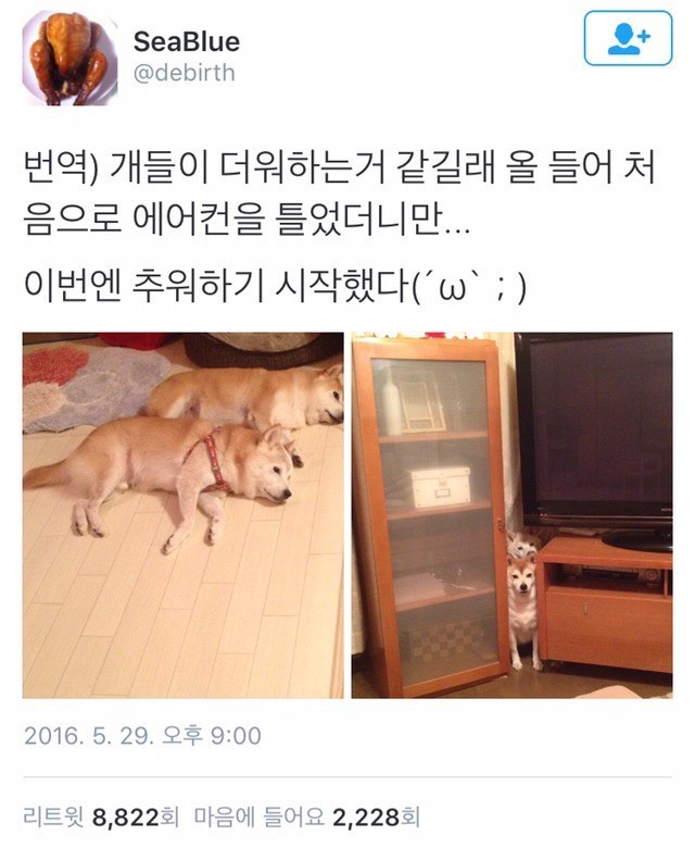 아 시바 ... 예민하고 난리 | 인스티즈