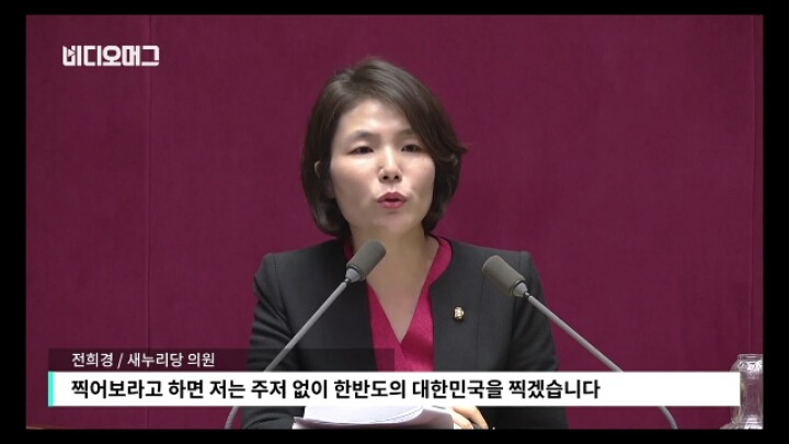 뉴라이트 계열 출신 새누리 전희경이 말하는 우리나라에 핵이 필요한 이유 (기적의 논리) | 인스티즈