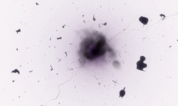  Re: 쑥남부터 시작하는 이세계 생활 -1- | 인스티즈