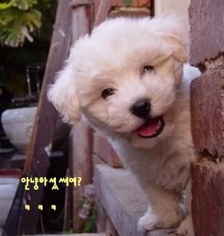 오~방가 이미지