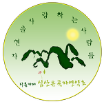 호술 이미지