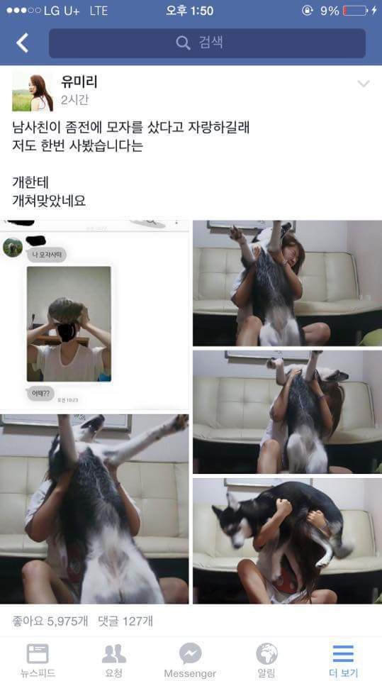 고양이 모자가 부러웠던 여자 | 인스티즈