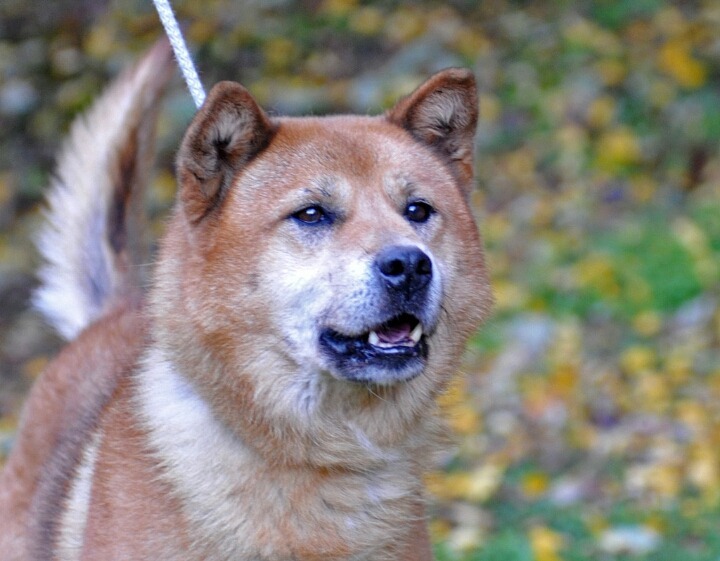 강찬 이미지