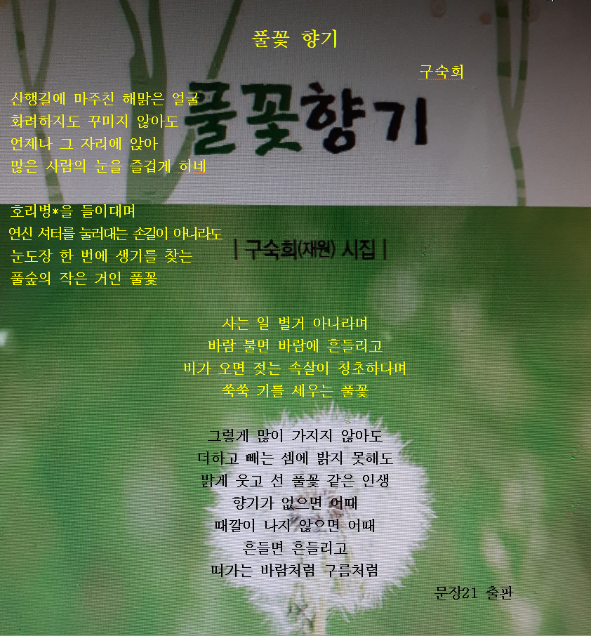 풀꽃향기 이미지