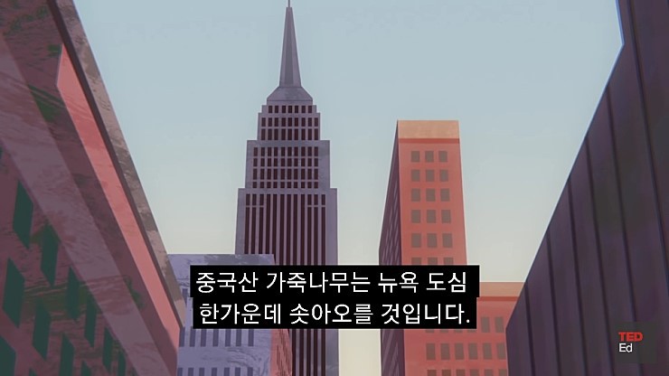  어느날 모든 인류가 갑자기 사라진다면.jpg | 인스티즈