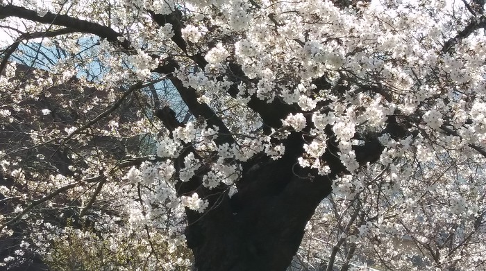 구두병원 이미지