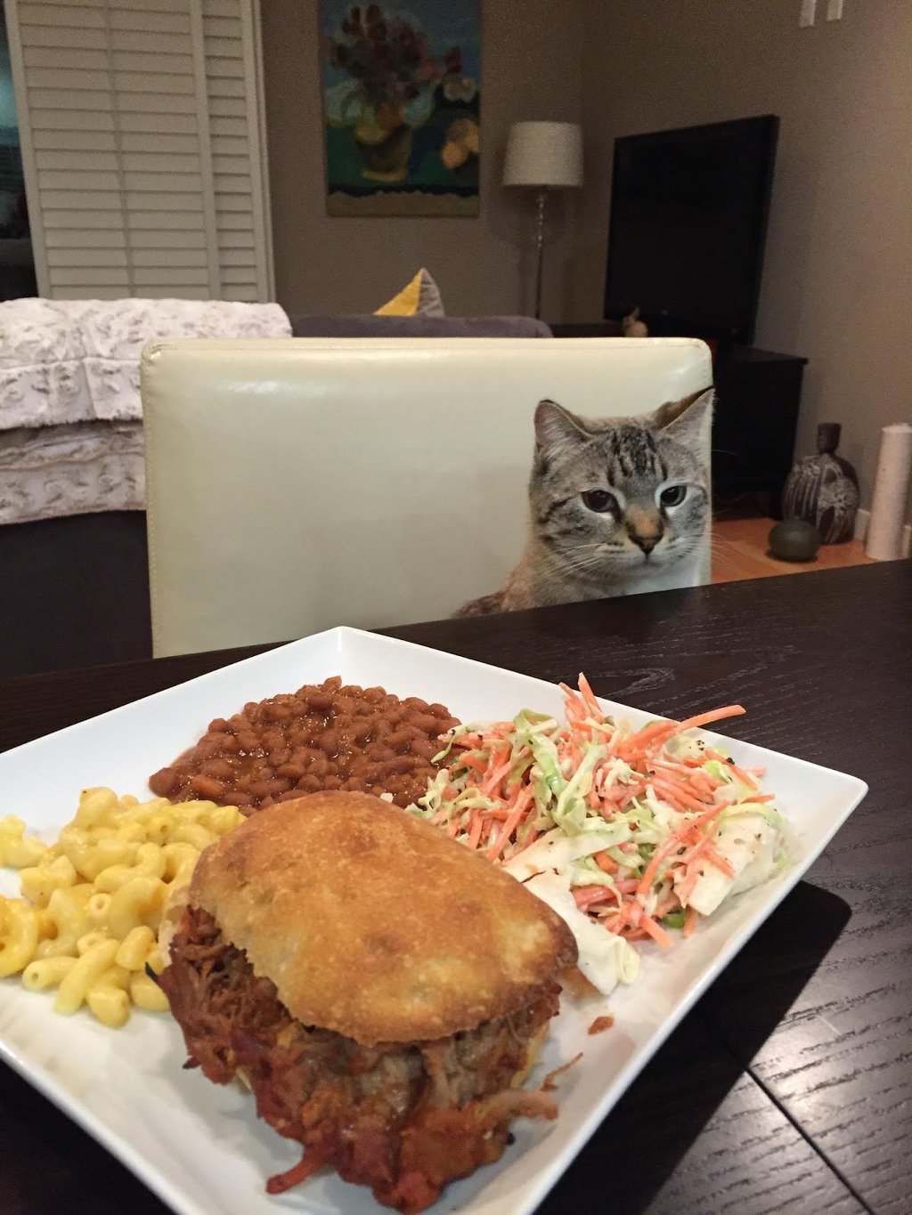 밥 먹을 때마다 쳐다보는 고양이 | 인스티즈