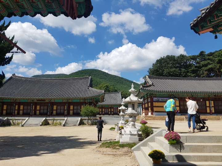 수림장 이미지