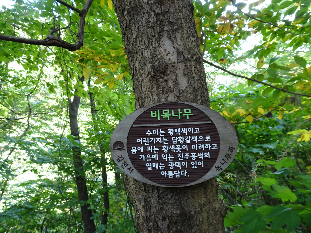 수도산자연휴양림 이미지