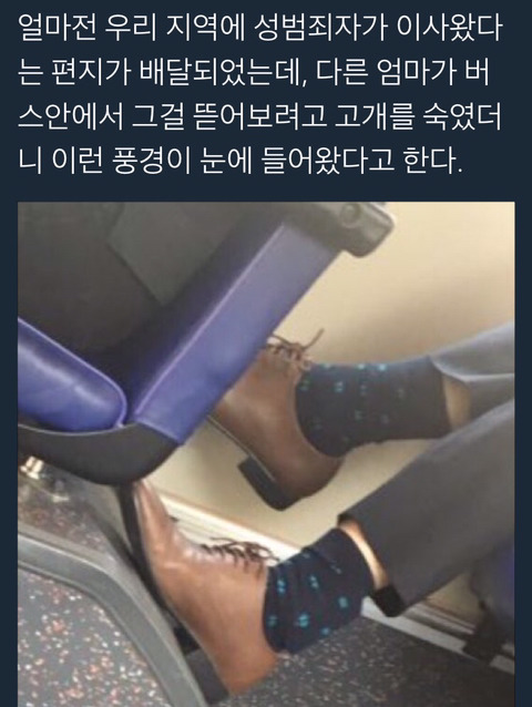 남자들의 발목을 주시해야되는 이유 | 인스티즈