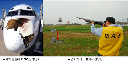 공군 가면 새쫒냐는 소리 듣는 이유 | 인스티즈