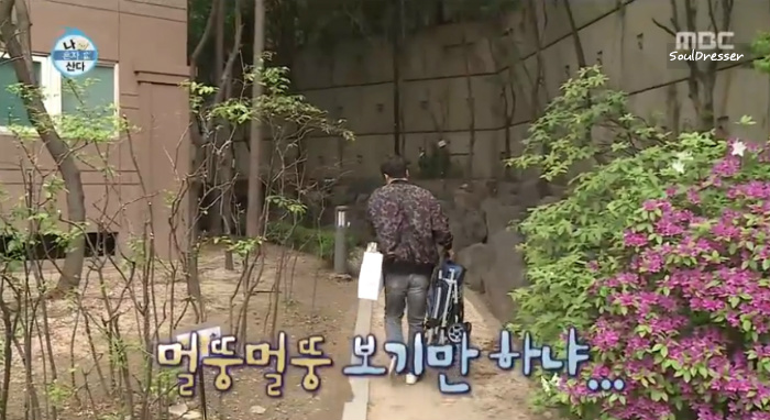 [나혼자산다] 전현무와 17살 반려견 또또 이야기.jpg | 인스티즈