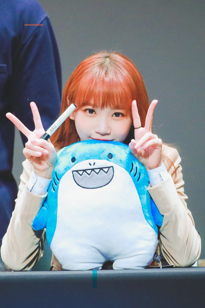 귀여운 아이즈원 동물농장 ㅋㅋㅋㅋㅋ | 인스티즈
