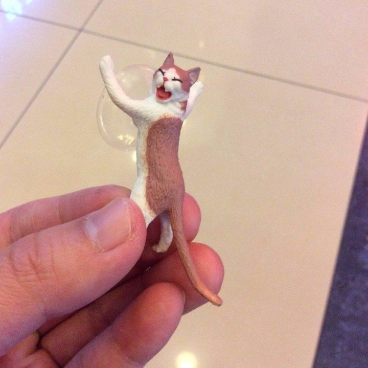 귀여운 스마트폰 지지대 | 인스티즈