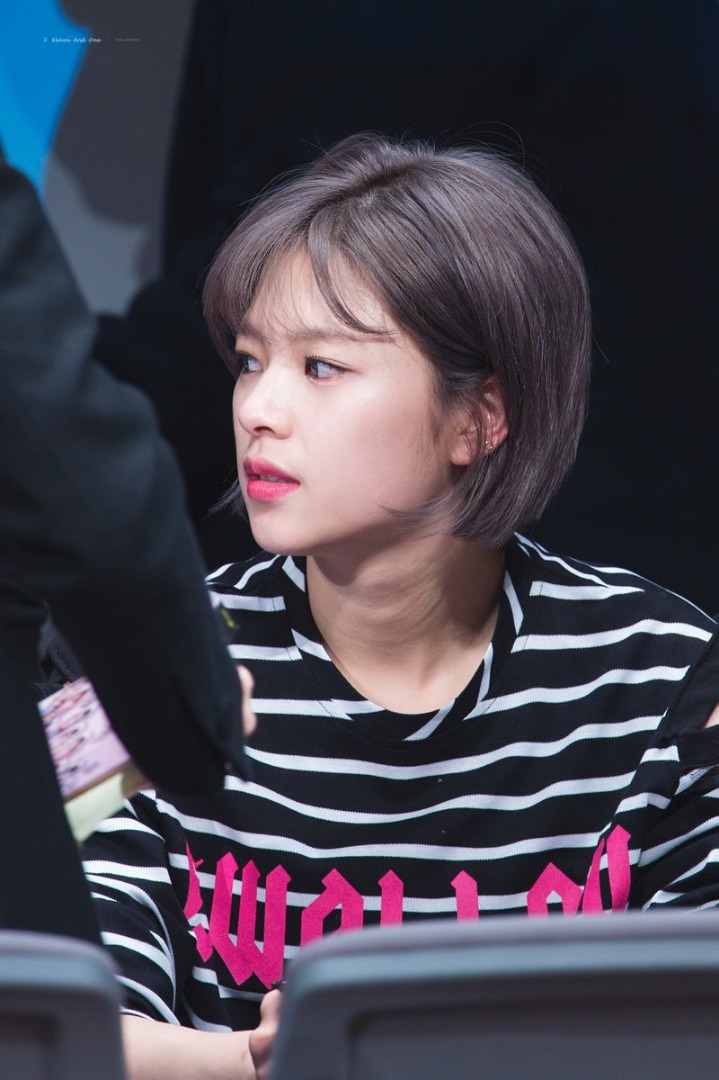트와이스 정연 쯔위 | 인스티즈
