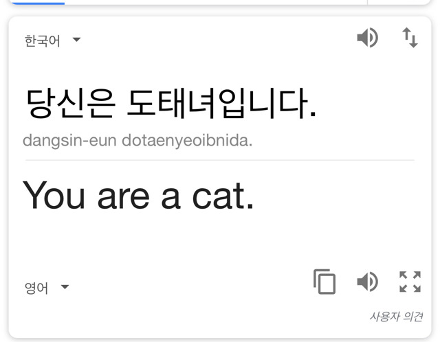실망입니다 구글도 매갈이내요 | 인스티즈