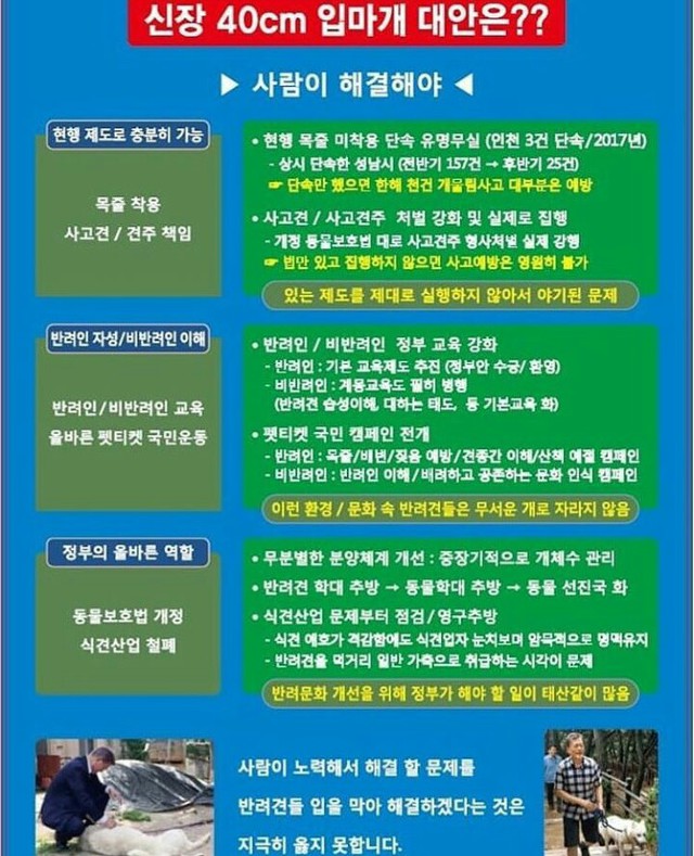 얘들아 개파라치 시행/공격성과 무관한 입마개 착용 의무화에 반대하는 가장 효과적인 방법!!! | 인스티즈