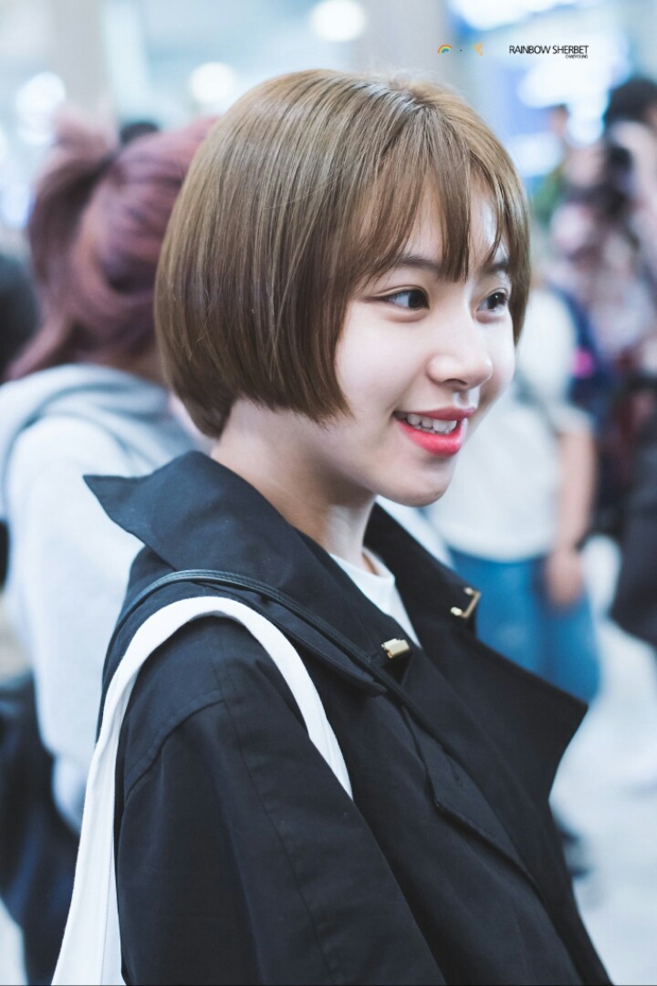 트와이스 손채영 | 인스티즈