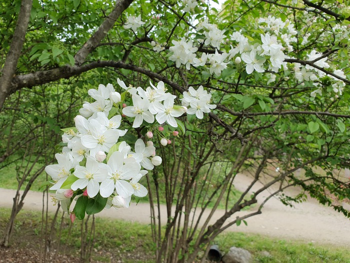 992404425CC651B62D1F38