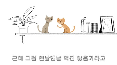 [동물] 고양이의 속마음 | 인스티즈