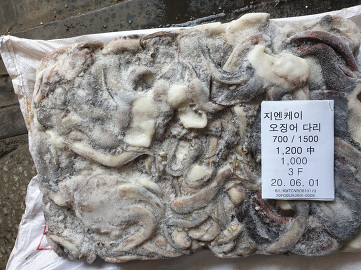 지엔케이 이미지