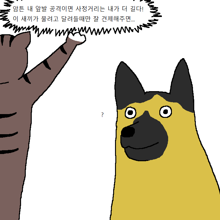 [만화] 사부고양이가 새끼고양이한테 무술 가르치는 만화 | 인스티즈