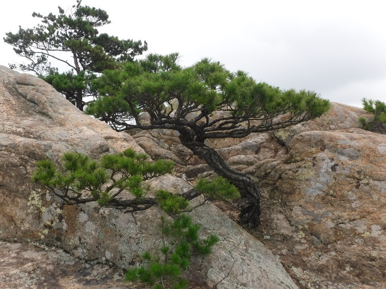 산수주유소 이미지