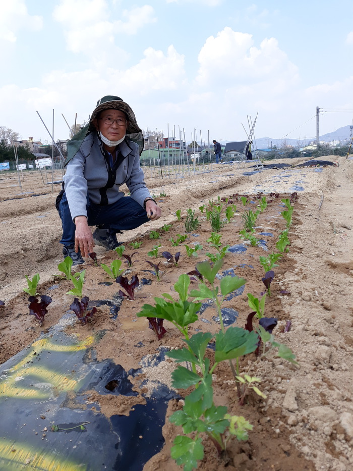 주혜네 이미지
