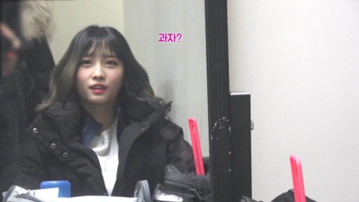 모모에게 가즈아란? | 인스티즈