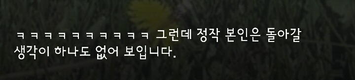다리 다친 아기사슴을 구해주면 생기는 일 | 인스티즈