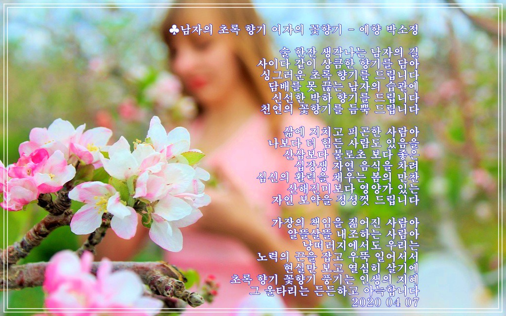 초록향기 이미지