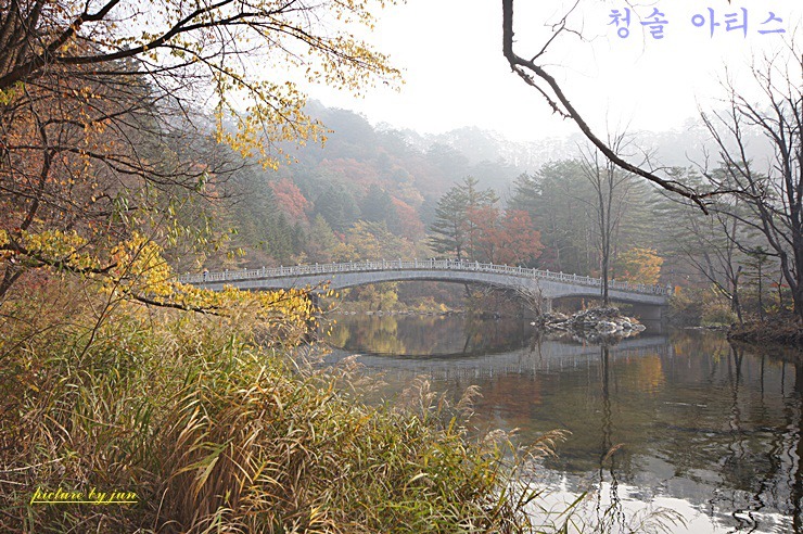 전나무길 이미지