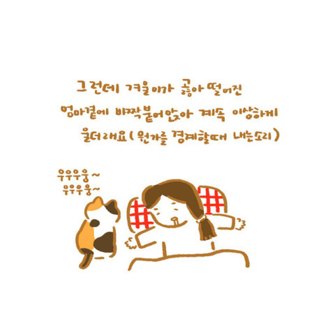은혜갚은 고양이 | 인스티즈