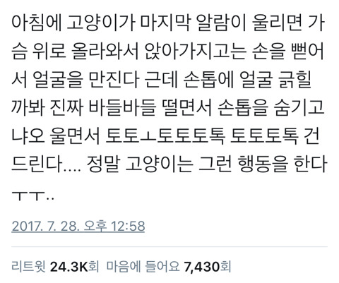 고먐미 안키우는 사람 주의.twt | 인스티즈