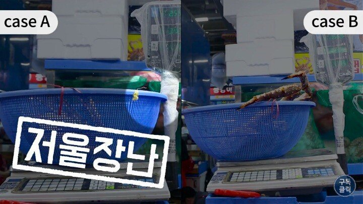 수산시장에서 바가지 안당하는법.JPG | 인스티즈