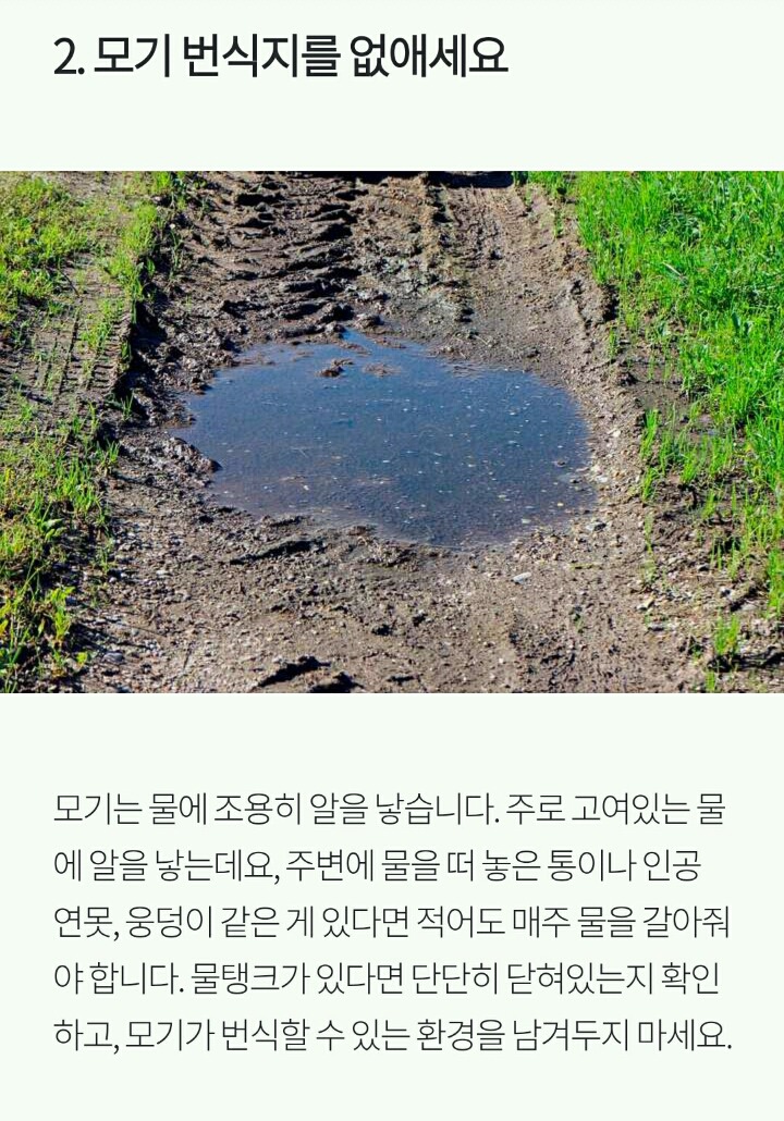 모기로부터 살아남는 5가지 방법 | 인스티즈