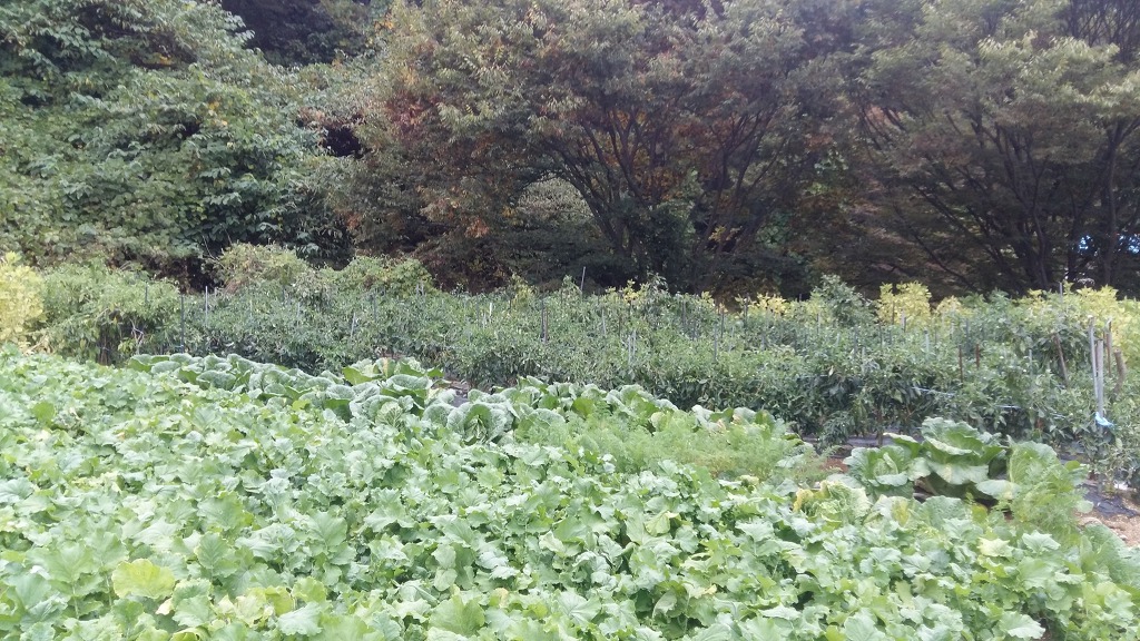 가평전원별장펜션 이미지