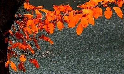 육산 이미지