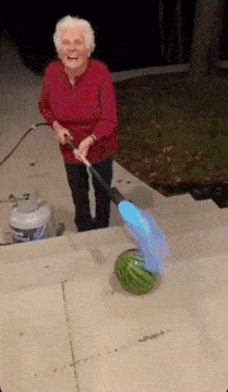 수박 맛있게(?) 먹는 법 | 인스티즈