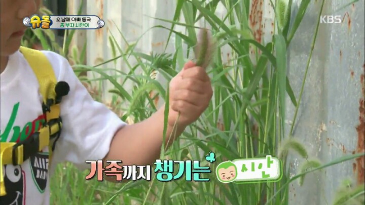 정말 타고난 것 같은 천사시안이 모음 | 인스티즈