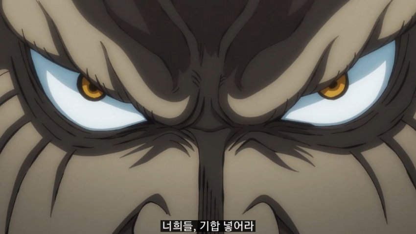 [원피스] 다시 한번 사상 전향한 카이도우 | 인스티즈