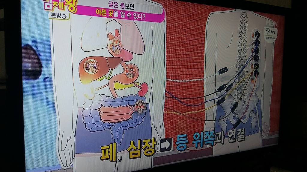 자연만세 이미지